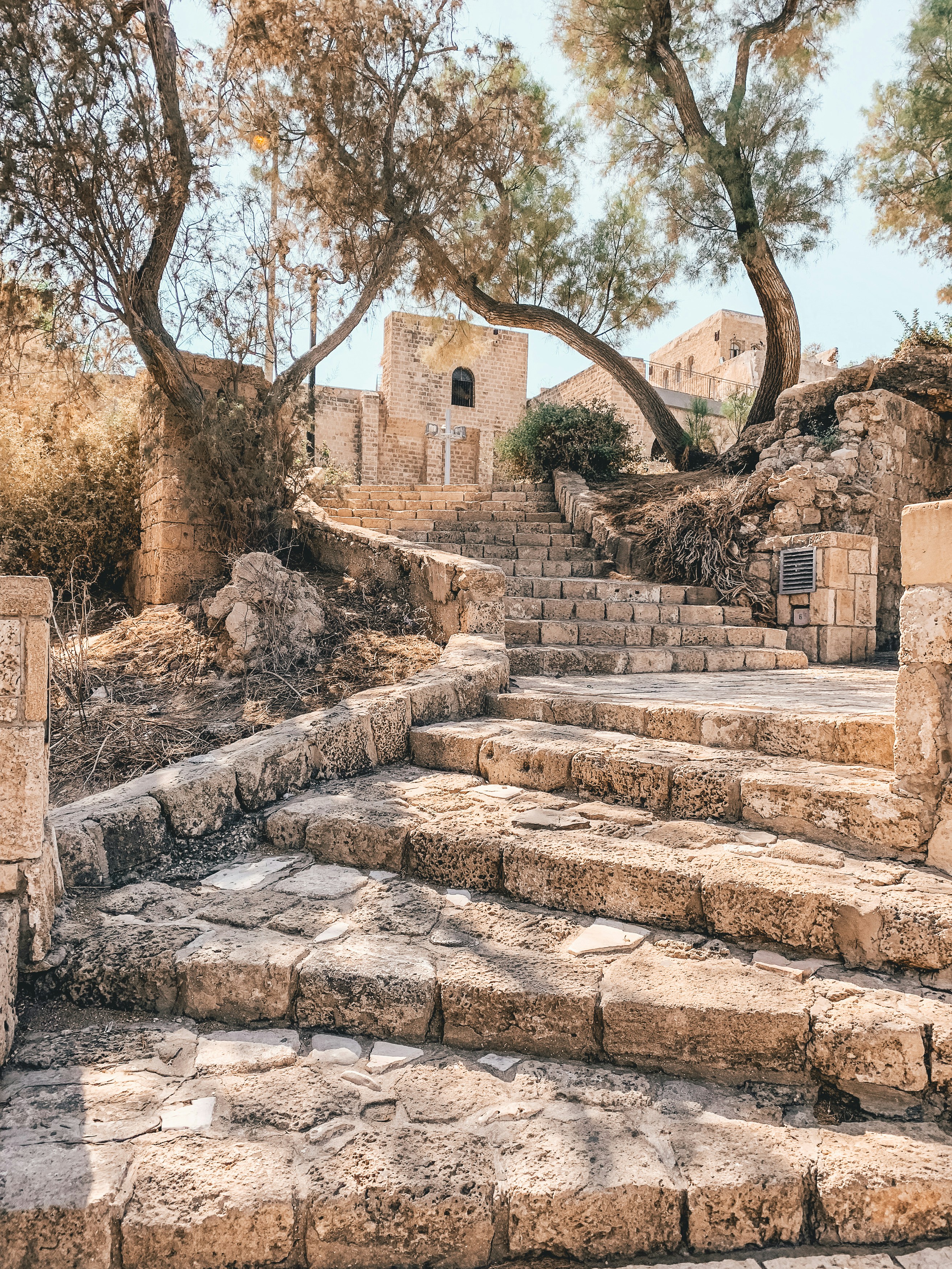 Biblical teaching with a tour group in Israel